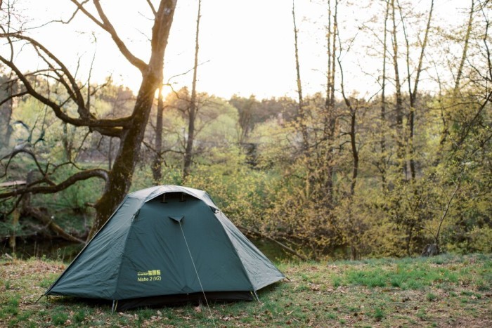 Палатка Tramp Nishe 2 (v2) green UTRT-053