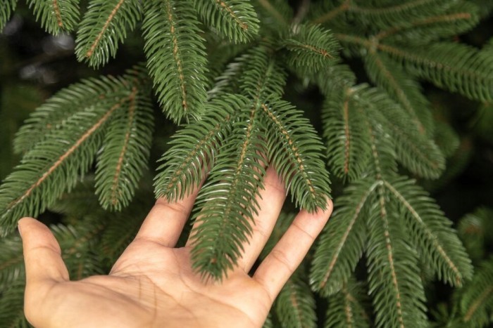 Елка литая "Лапландская" Зеленая