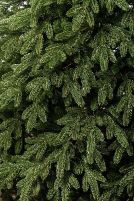 Елка литая "Лапландская" Зеленая