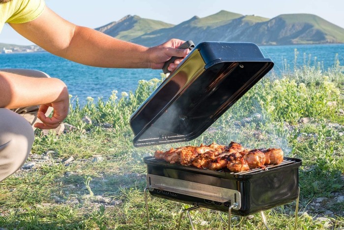 Угольный гриль Go-Anywhere черный Weber 1131004