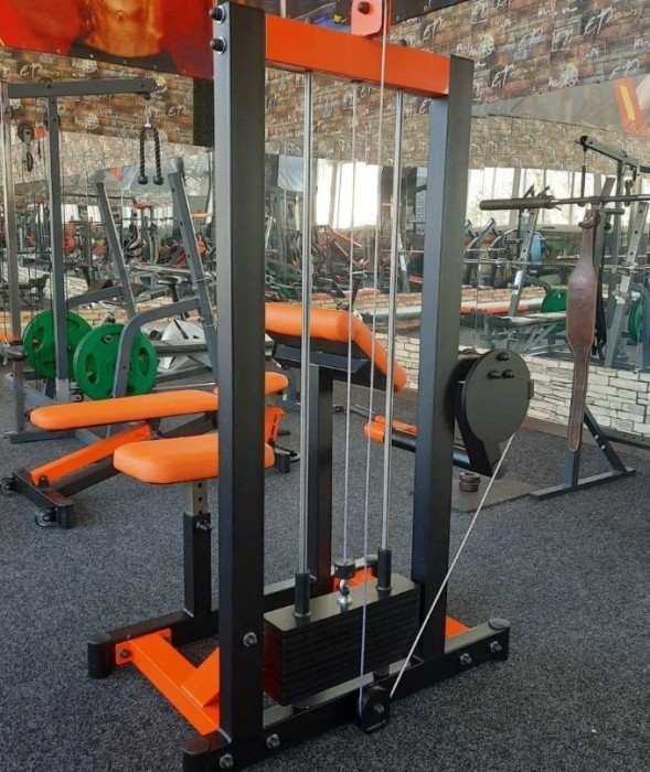 Тренажер Бицепс-машина RN-Sport Imperium