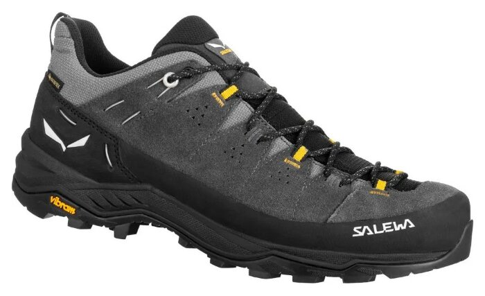 Кроссовки Salewa Alp Trainer 2 GTX Mns