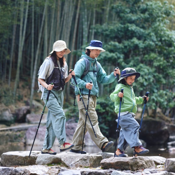 Трекінгова палиця 3-сек. Naturehike CNK2550DS010, 55-120 см, алюміній, зелена, укр, укр