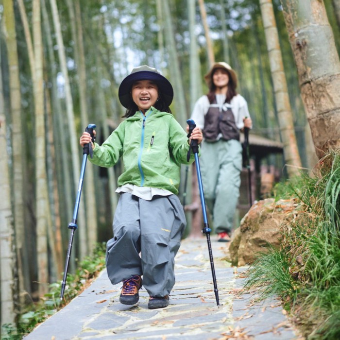 Трекінгова палиця 3-сек. Naturehike CNK2550DS010, 55-120 см, алюміній, зелена, укр, укр