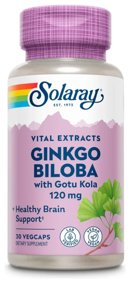 Ginkgo Biloba Extract One 120mg - 30 vcaps (DSN_2023-10-6737)