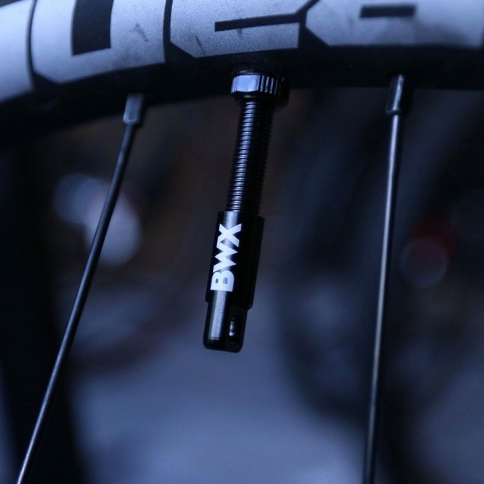 Ниппели на бескамерку BikeWorkX Tubeless Valves