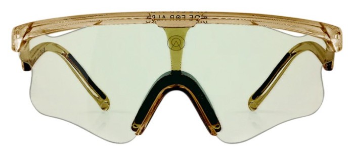 Очки Albaoptics DELTA LEI Smoke Glossy VZUM F-Lens Beetle фотохромные
