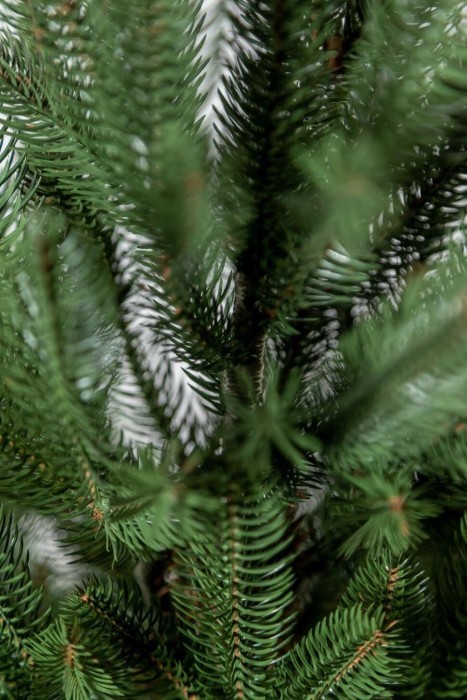 Елка литая "Лапландская" в горшке зеленая