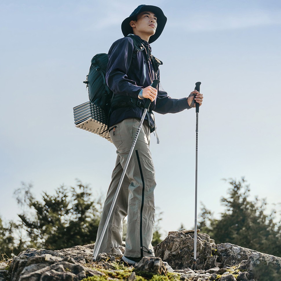 Трекинговая палка Naturehike CNK2450DS016, 120 см, фиолетовая