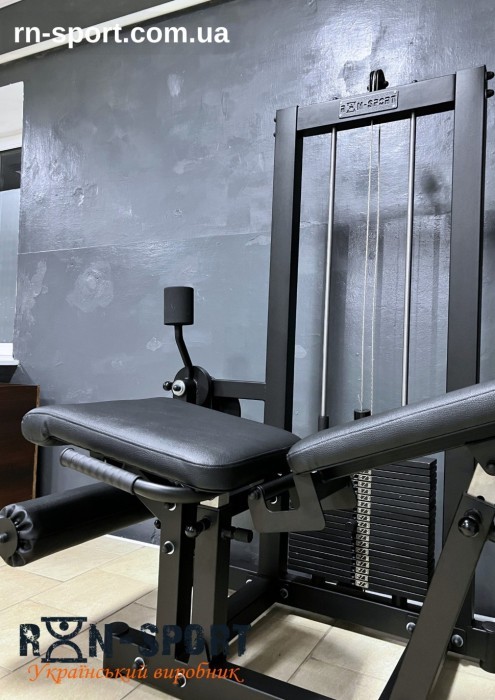 Сгибание-разгибание ног RN-Sport Imperium грузоблок