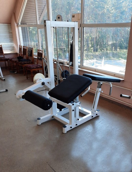 Сгибание-разгибание ног RN-Sport Imperium грузоблок