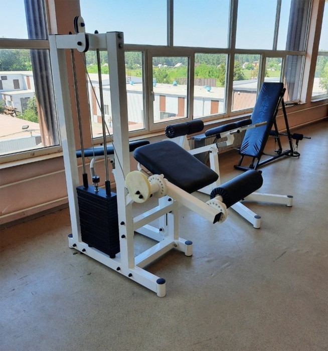 Сгибание-разгибание ног RN-Sport Imperium грузоблок