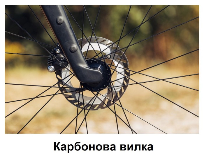 Велосипед MONDRAKER Arid S 28'', Bronze, M/L, укр, укр