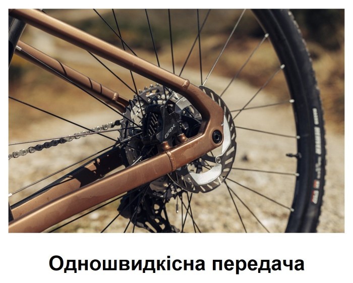 Велосипед MONDRAKER Arid S 28'', Bronze, M/L, укр, укр