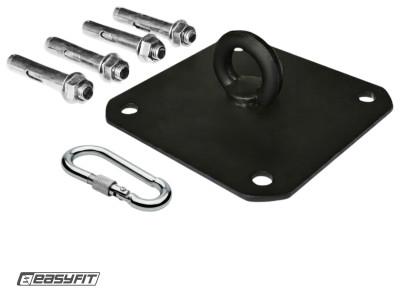 Крепление для боксерской груши EasyFit потолочное.