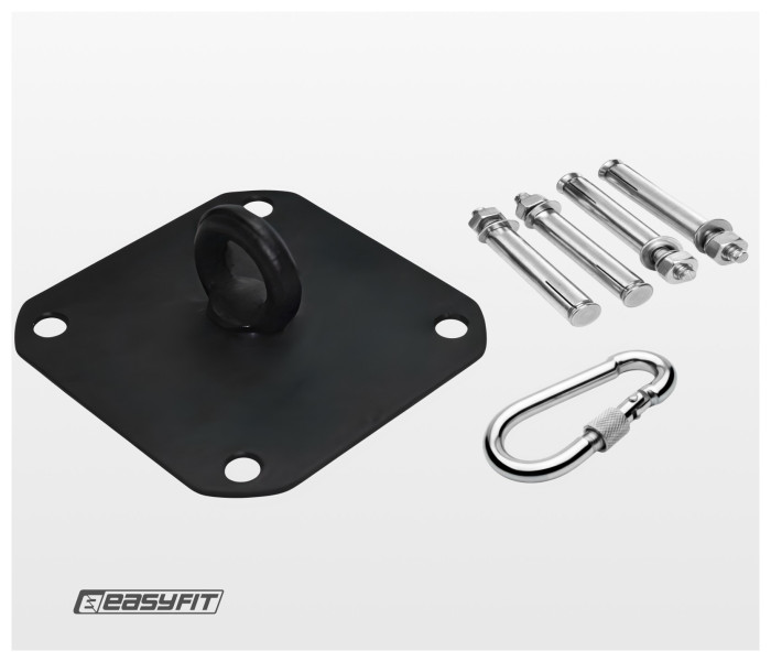 Крепление для боксерской груши EasyFit потолочное.