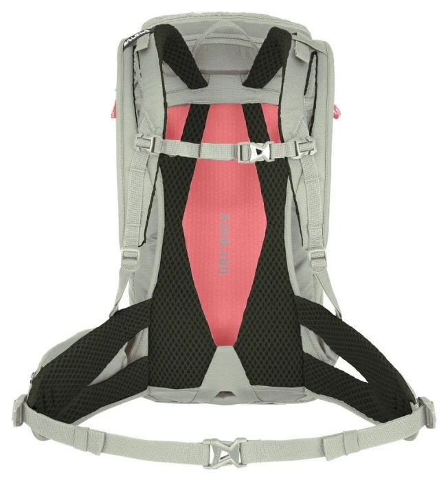 Рюкзак Salewa Alp Trainer 20 Wmn