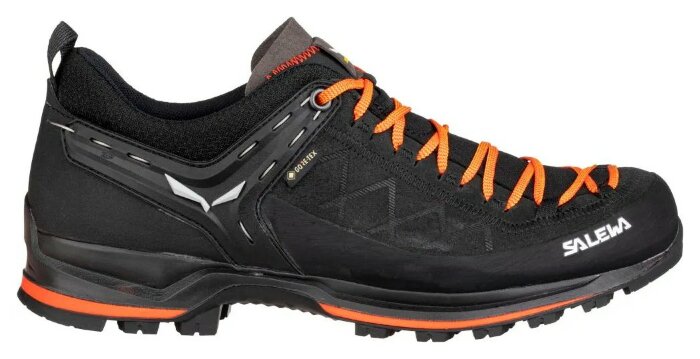 Кросівки Salewa MS MTN Trainer 2 GTX