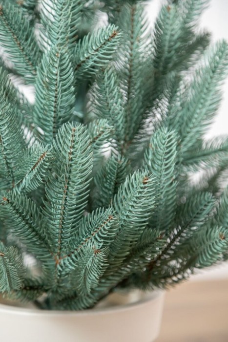 Елка литая "Лапландская" в горшке голубая