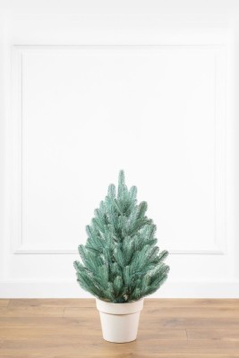 Елка литая "Лапландская" в горшке голубая