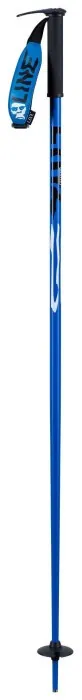 Палки горнолыжные LINE PIN 2021