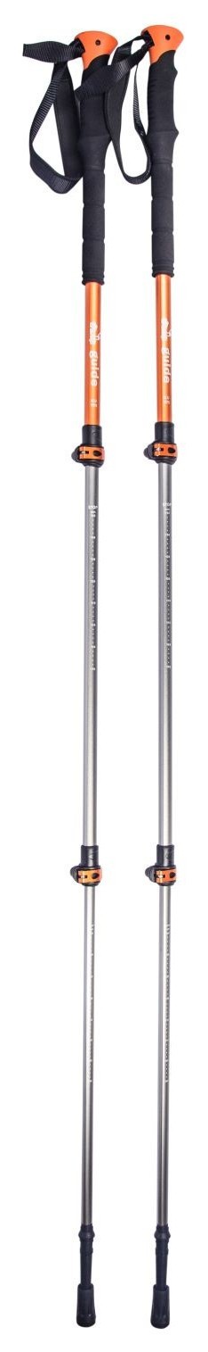 Трекінгові палиці Tramp Guide UTRR-014, укр, укр