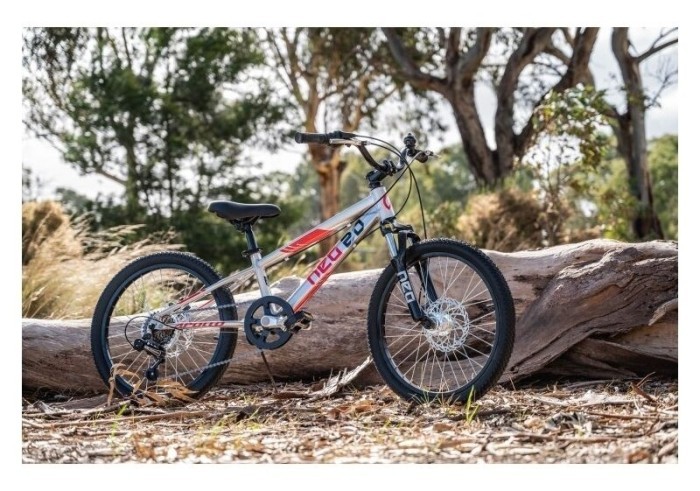 Велосипед 20