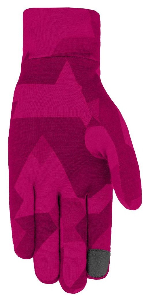 Перчатки Salewa Cristallo AM Wms Salewa Cristallo AM Wms