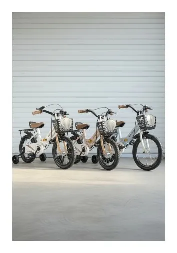 Дитячий велосипед Viccabe Sport 6100-88A-14