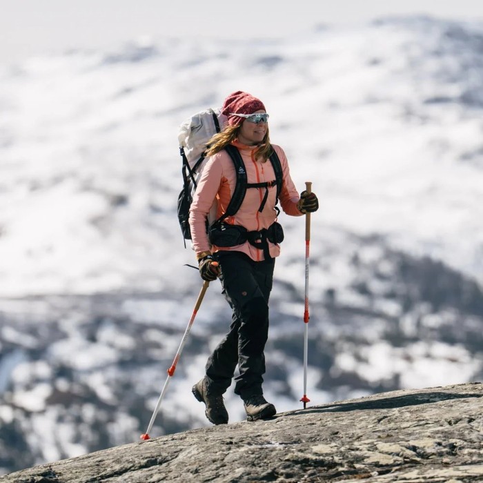 Трекинговые палки Silva Trekking Poles All Season Alpine Alu Tele, 145 см
