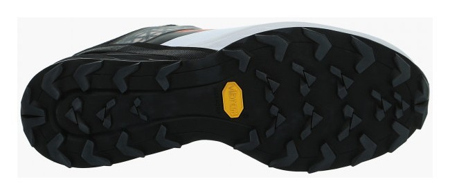 Кроссовки Dynafit Alpine DNA