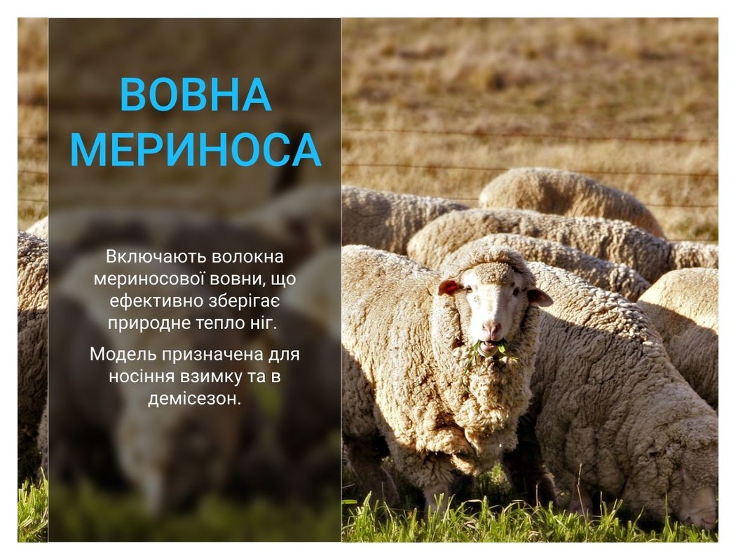 Шкарпетки Dexshell Terrain Walking 2.0 Socks, хакі, розмір S (36-38), укр, укр