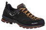Кроссовки Salewa MS MTN Trainer 2 GTX Фото - 1