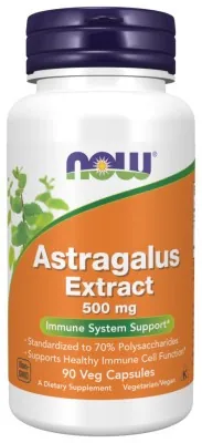 Astragalus Extract 500mg - 90vcaps