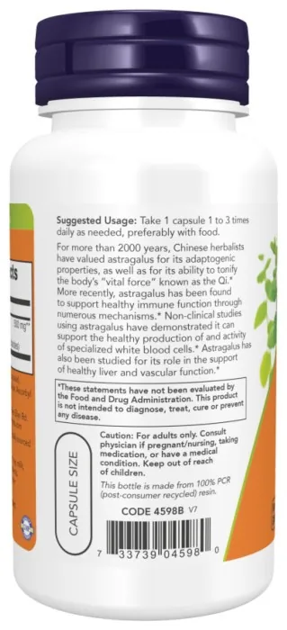 Astragalus Extract 500mg - 90vcaps