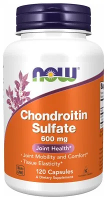 Chondroitin Sulfate 600mg - 120 caps