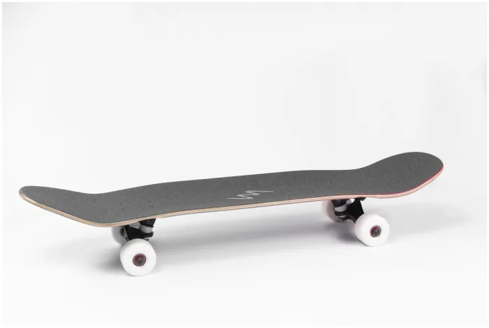 Лонгборд Landyachtz ATVX Perfecto - Raccoon
