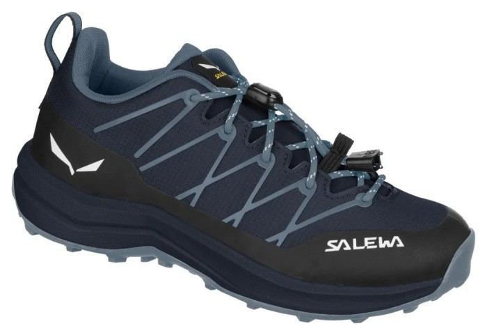Кроссовки Salewa Wildfire 2 Jr