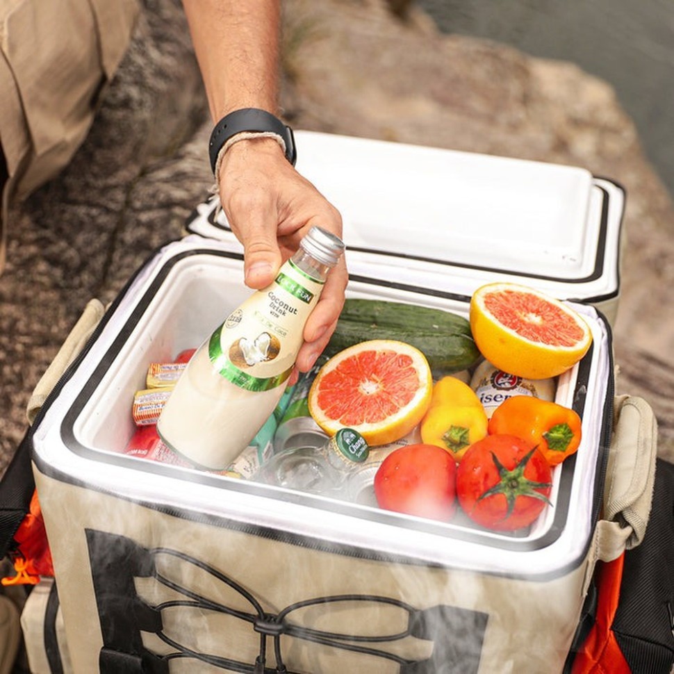 Акумуляторний холодильник-рюкзак Litheli 16л, живлення від павербанку (УМБ Litheli Power Bank 20000 mAh, 45 W в комплекті), укр, укр