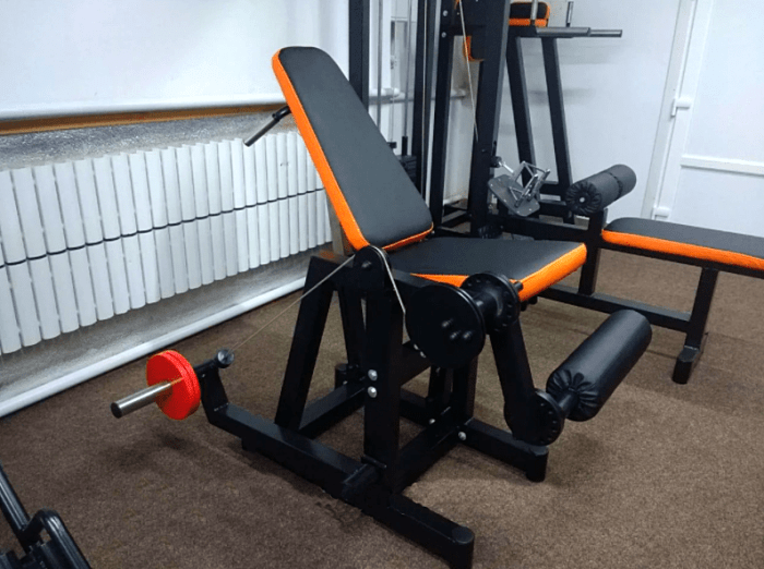 Згинання-розгинання ніг RN-SPORT imperium, вільна вага, укр, укр