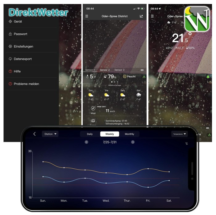 Метеостанція Technoline DirektWetter WD2000 Silver (WD2000)
