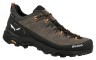 Кроссовки Salewa Alp Trainer 2 GTX Mns Фото - 1