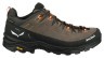 Кроссовки Salewa Alp Trainer 2 GTX Mns Фото - 4