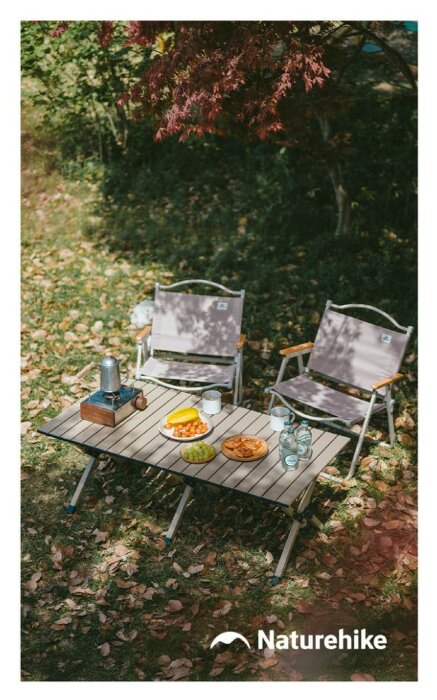 Складаний стіл Naturehike Star Jane T01 CNK2550JJ018, 119х60 см, вуглецева сталь, чорний, укр, укр