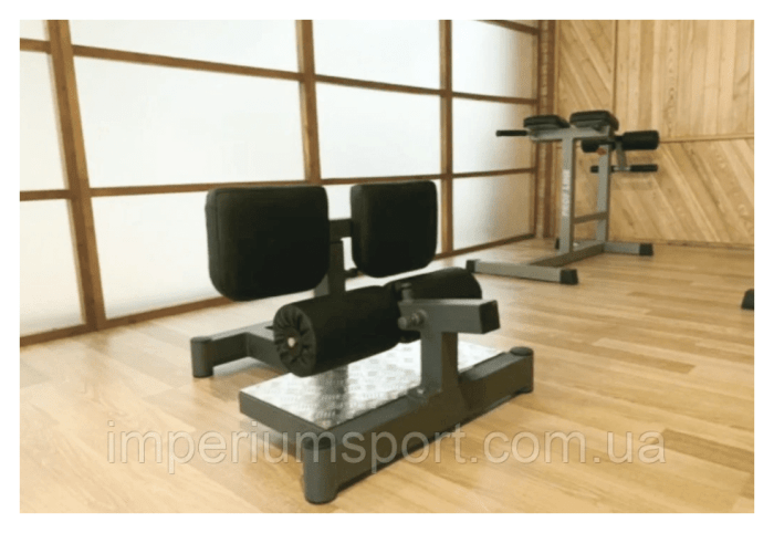 Професійний наголос для присідань (сісі присід) RN-Sport Imperium, укр, укр