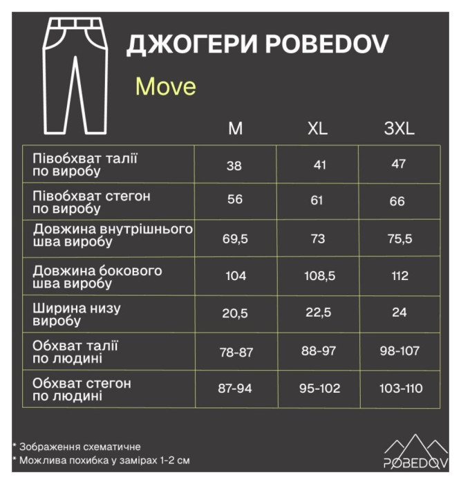 Джогеры мужские тринитка начес темно-серые. Джогеры мужские Pobedov Move темно-серые.