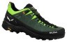 Кроссовки Salewa ALP Trainer 2 Mns