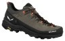 Кроссовки Salewa ALP Trainer 2 Mns Фото - 1
