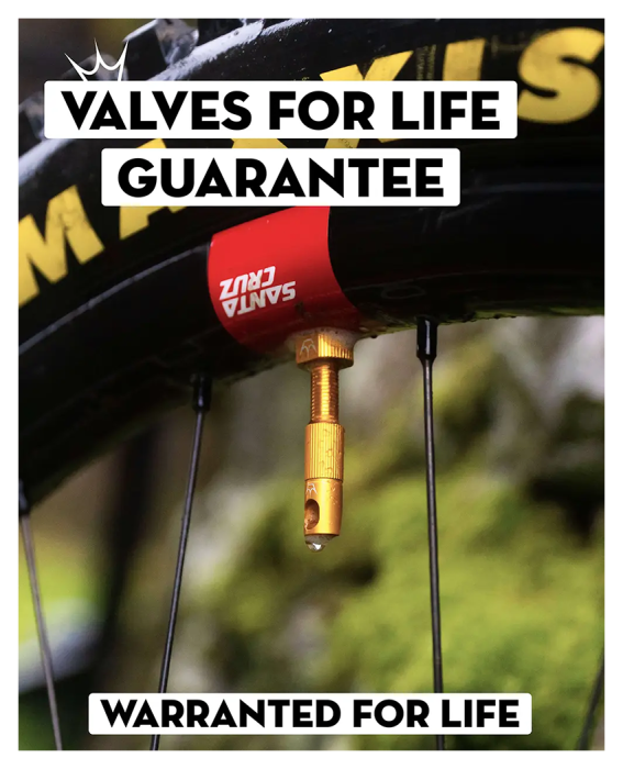 Ниппели Peaty's x Chris King Tubeless Valves, 42mm, Red