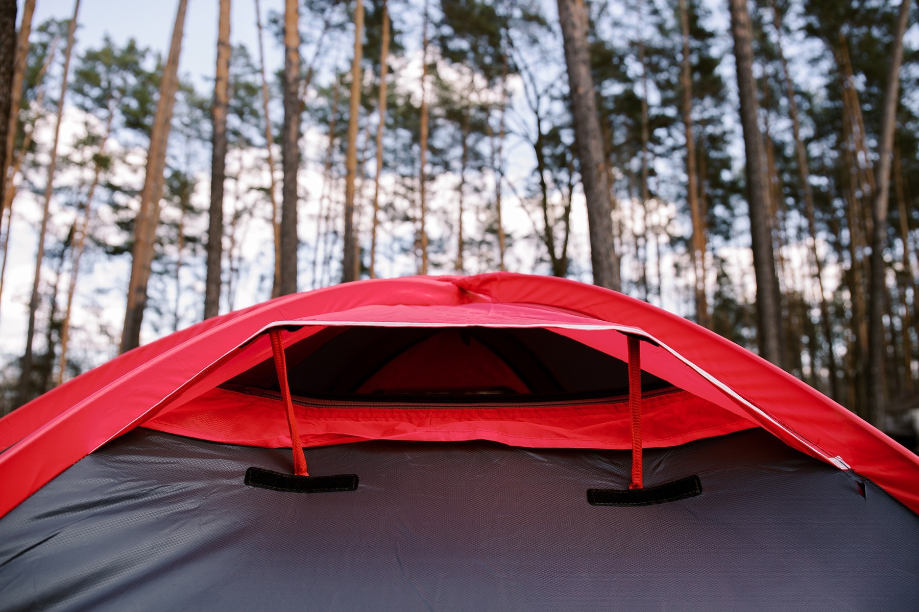 Палатка Tramp ROCK 2 (V2) серая/красная (TRT-027)